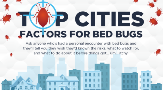 Is Indianapolis in the Top Cities for Bed Bugs? Yes.