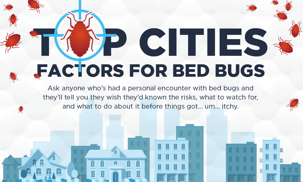 Bed Bug Cities List