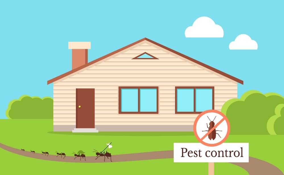 Pest Prevention